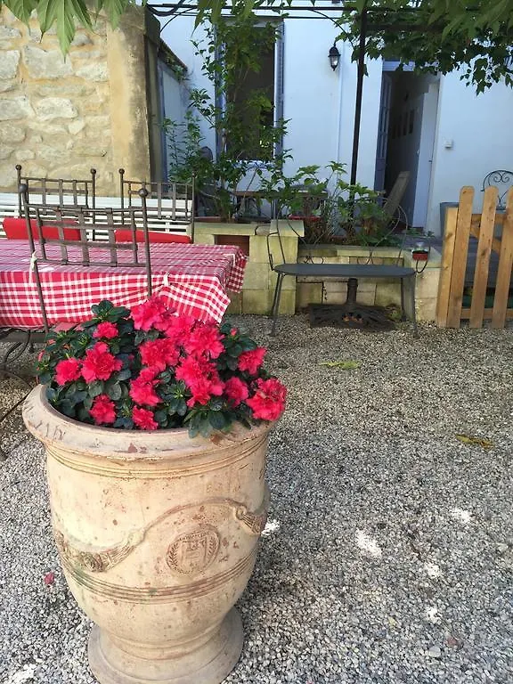 Anne de la Maison Blanche Avignon Appartement